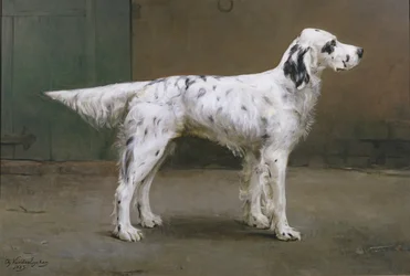 Koiran muotokuva, 1885